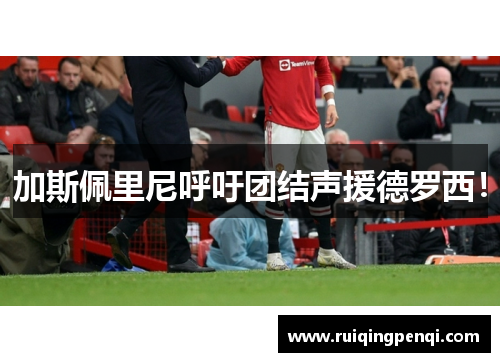 加斯佩里尼呼吁团结声援德罗西！